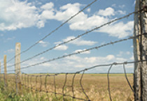 Agriculture Fencing