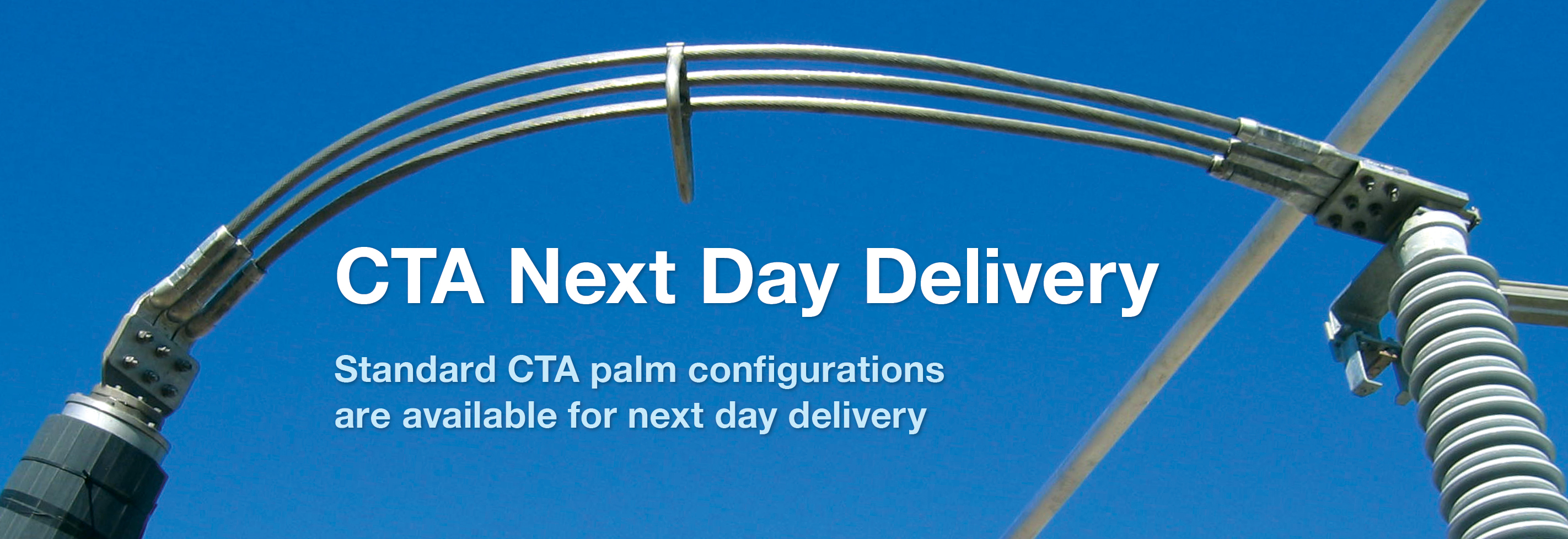 CTA Next Day Delivery