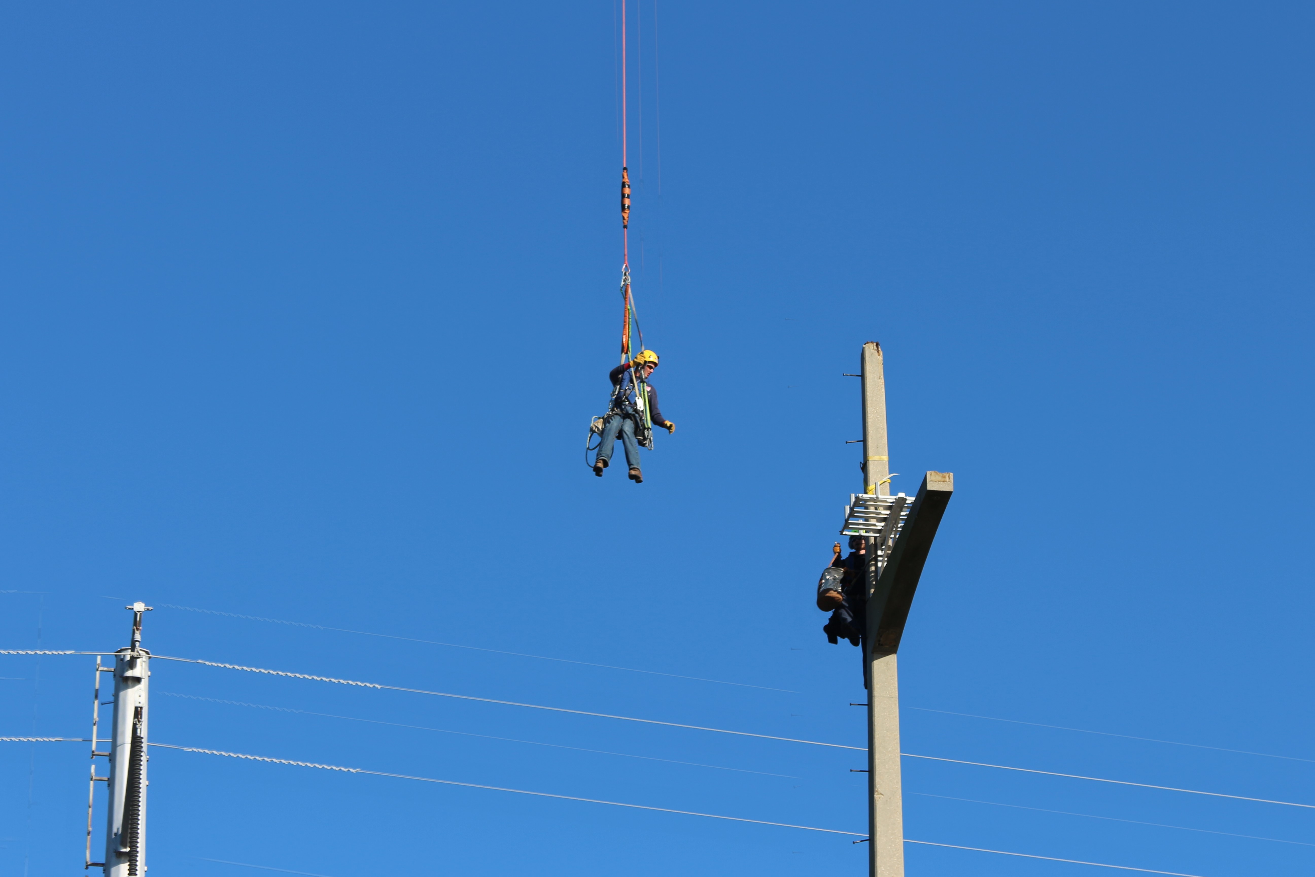 line workers install nesting platform - wildlife protection for utilities